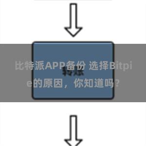 比特派APP备份 选择Bitpie的原因，你知道吗？