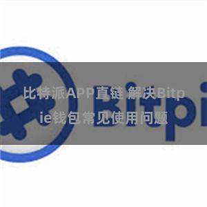 比特派APP直链 解决Bitpie钱包常见使用问题