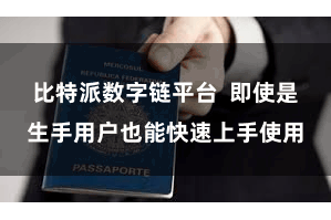 比特派数字链平台  即使是生手用户也能快速上手使用